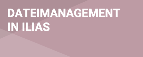 Dateimanagement im Kurs